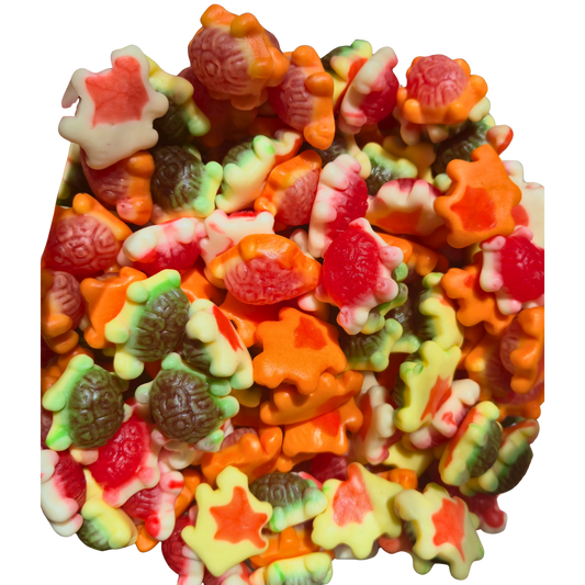 Schildkröten gefüllt Fruchtgummi 🐢 100g